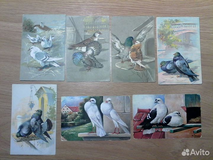 Открытки с изображением голубей