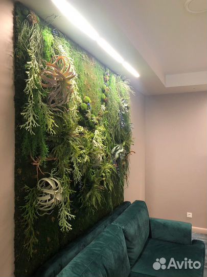 Фитостены из мха, искусственных растений