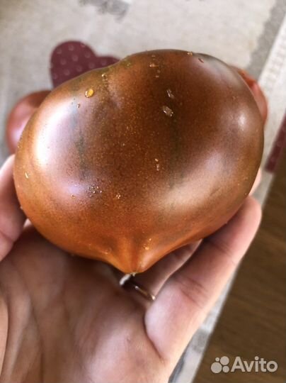 Семена коллекционных томатов