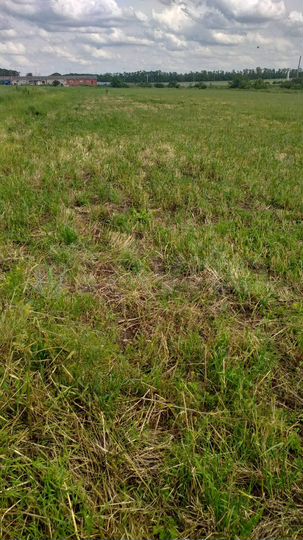 Участок 15 сот. (ИЖС)