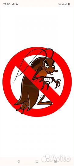 Уничтожение клопов травить тараканов обработка