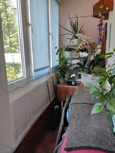 3-к. квартира, 79,7 м², 2/5 эт.