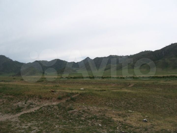 Участок 2 га (СНТ, ДНП)