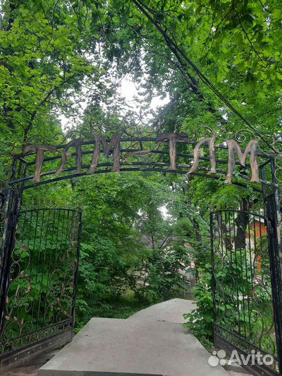 Пассажирские перевозкифорд-транзит