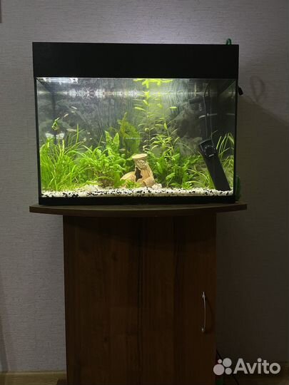 Акариум 50л
