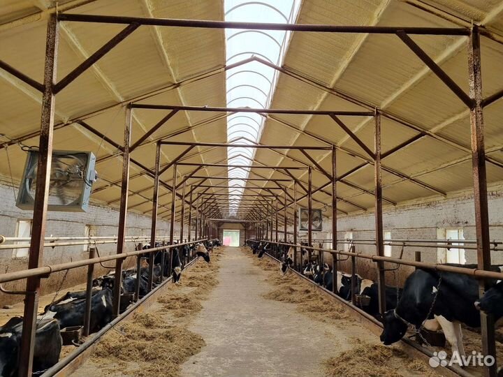 Напыление ппу