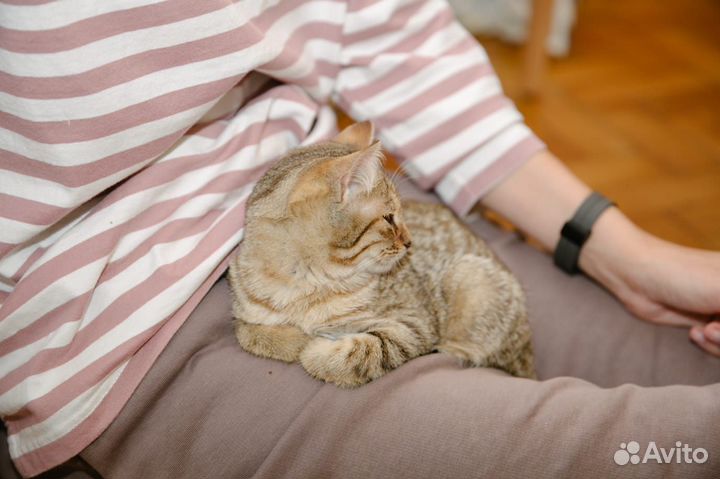 Самая замурчательная девочка