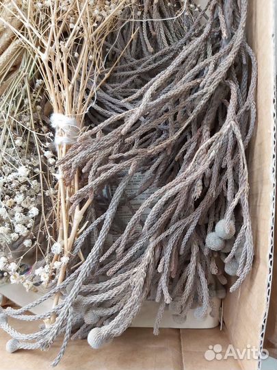 Сухоцветы для творчества