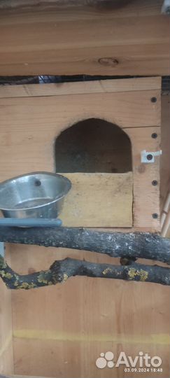 Клетка для шиншиллы, хорька и т.д