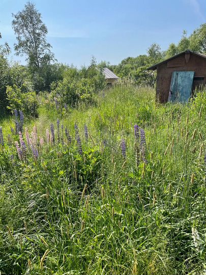 Участок 6 сот. (СНТ, ДНП)