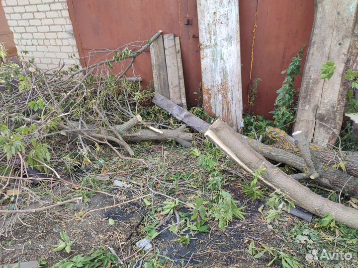 Дрова бесплатно самовывоз