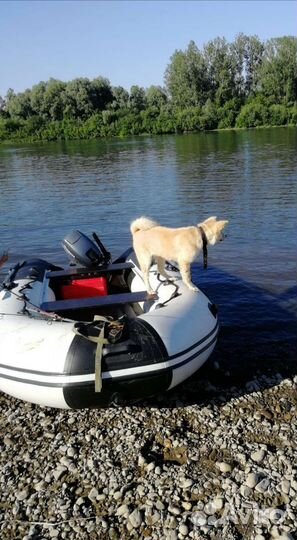 Отличный комплект лодка ривьера, мотор ямаха 9,9