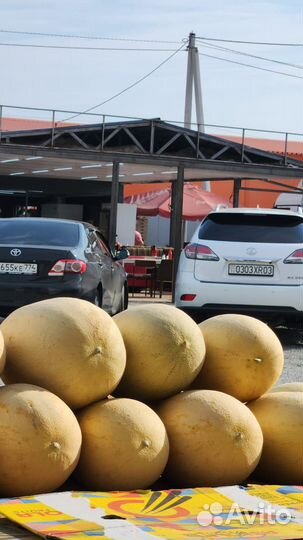 Арбуз оптом и розницу