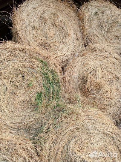 Сено в рулонах