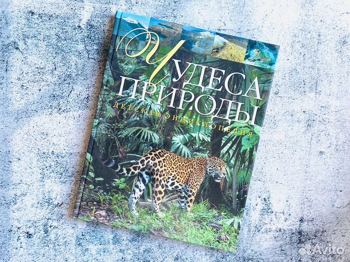 Комплект детских книг о животных