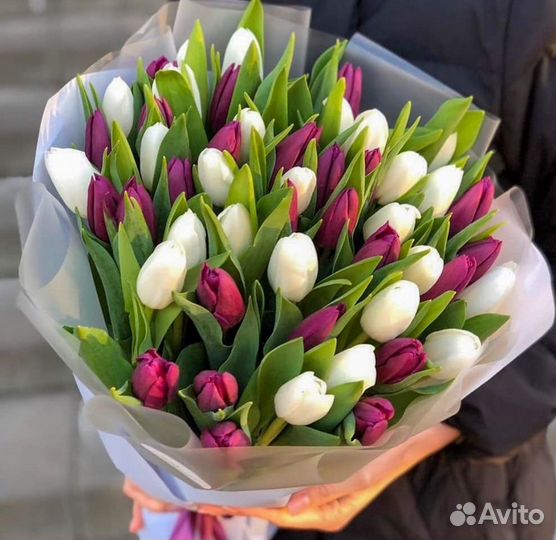 Тюльпаны Оптом 19 25 49 101 Цветы Букеты