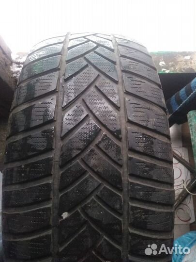 Dunlop SP Winter Sport M3 265/60 R18 110H