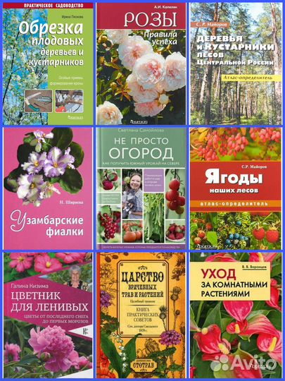 Цветы, ландшафт, деревья, цветники, грибы, сад