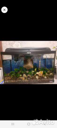 Аквариум