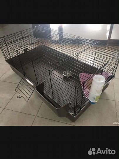 Клетка чит.опис