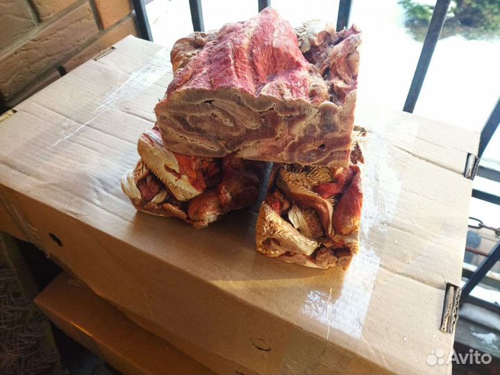 Мясо для собак (губы, щётка, носы,печень, обрезь.)