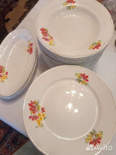 Тарелки для огорода, дачи