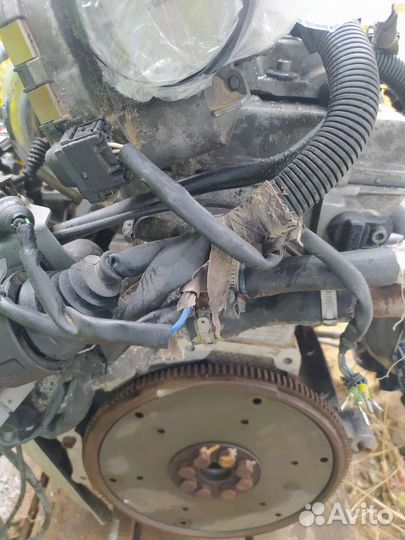 Навесное оборудование двигателя alfa romeo 2.5 v6