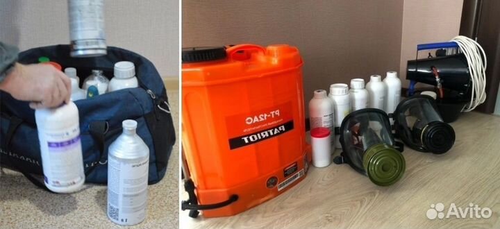 Уничтожение Клопов Тараканов Дезинсекция