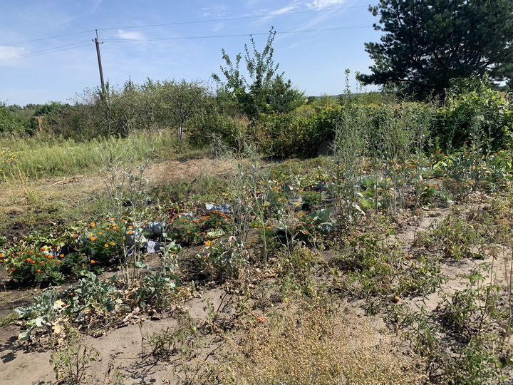 Дача 10 м² на участке 8 сот.