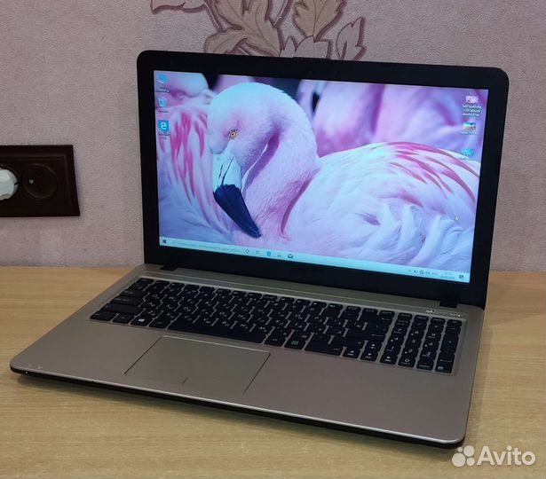 Ноутбук asus для учебы,SSD