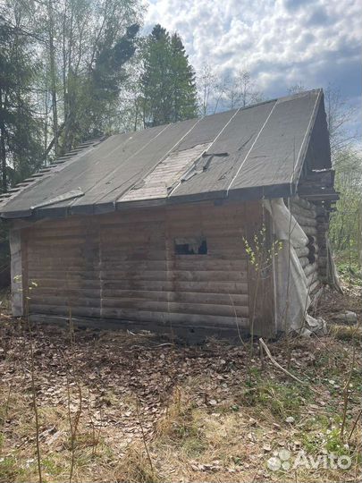 Сруб бани бу