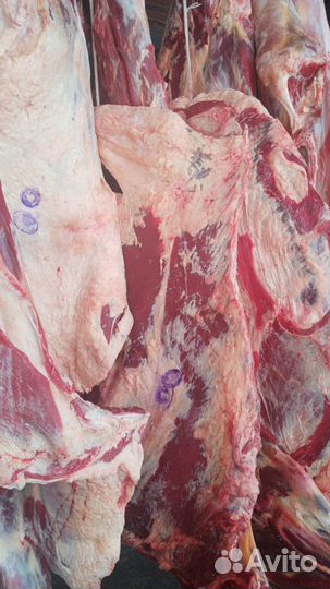 Говядина, мясо говядины, услуги распила