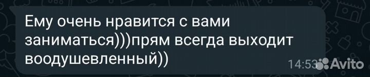 Репетитор по китайскому языку