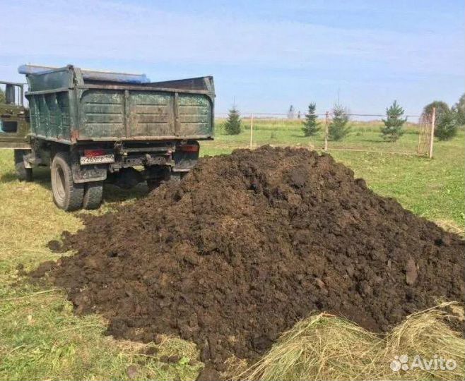 Навоз коровий