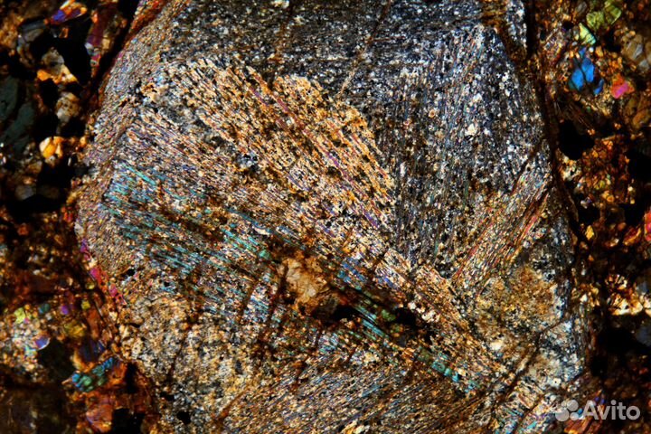 Прозрачно-полированный шлиф. Метеорит Calama 180