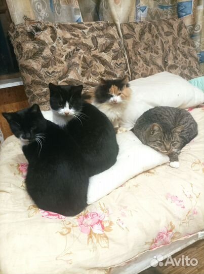 Помогите найти дом