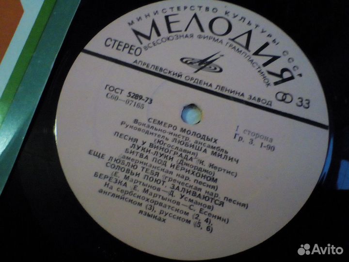 Виниловая пластинка: виа 