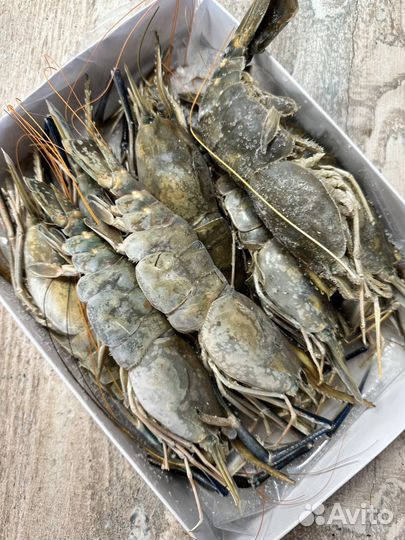 Красная икра 2023