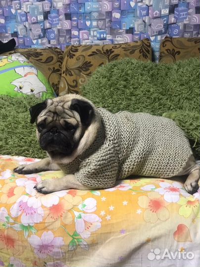 Вязание для всей семьи