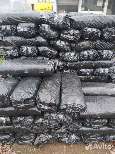 Отработанные Грибные блоки вешенки