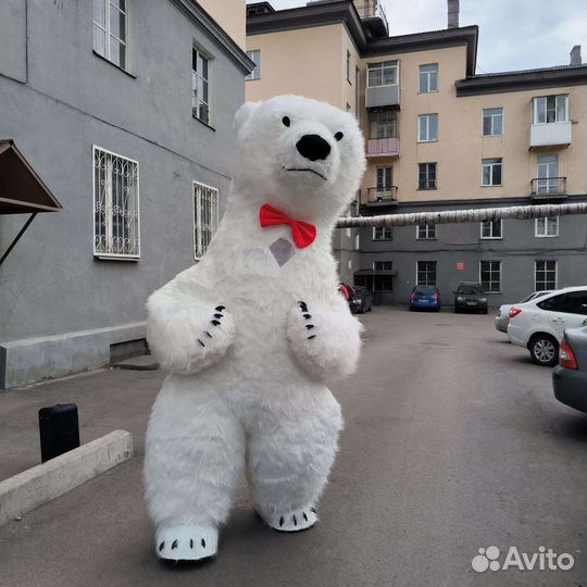 Белый мишка поздравление