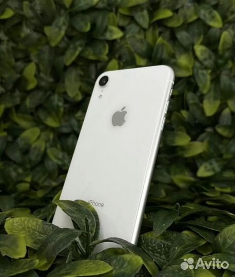 iPhone Xr, 256 ГБ
