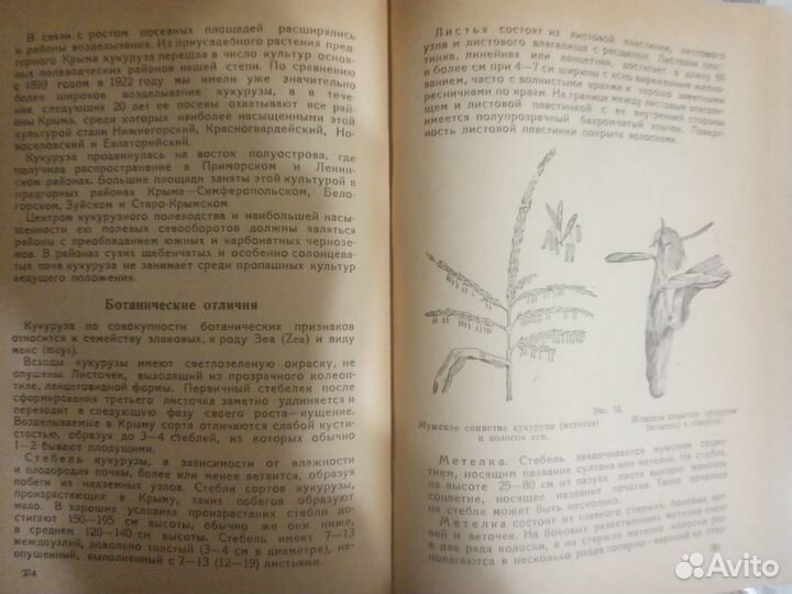 Полевые культуры Крыма Богдан П. 1949 г