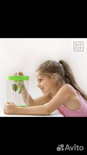 В подарок, живые тропические бабочки и бабочкарии