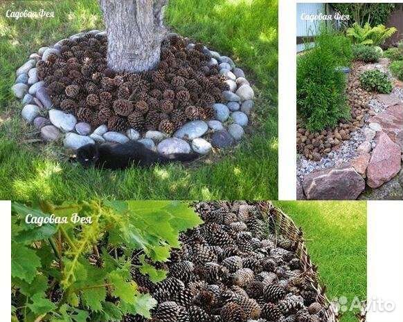 Шишки еловые для поделок, сувениров