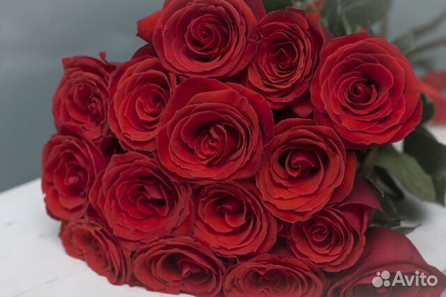 Розы красные Розы прекрасные