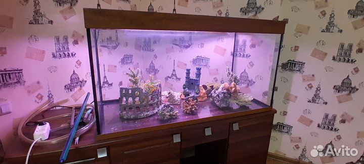 Аквариум с тумбой 300 литров