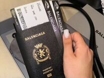 Обложка на паспорт balenciaga