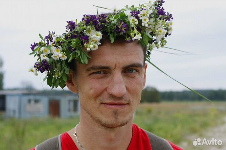 Аквариумы. Оформление, обслуживание