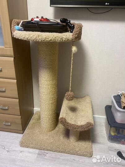 Когтеточка